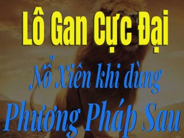 lô-gan-cực-đại