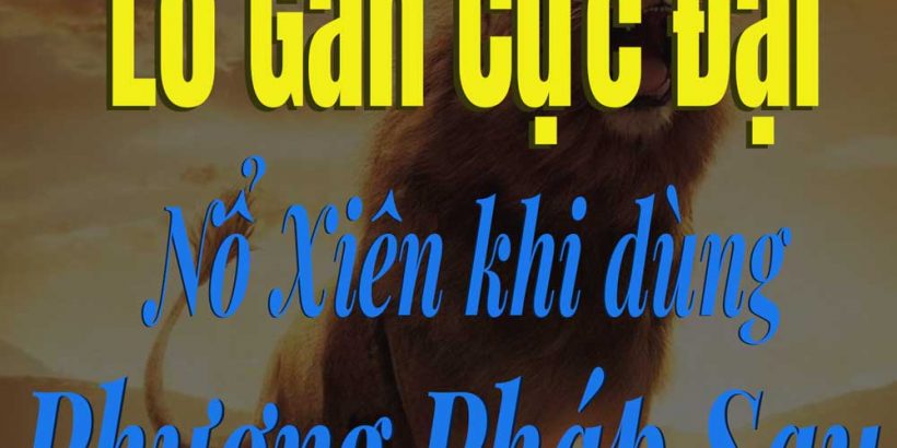 lô-gan-cực-đại